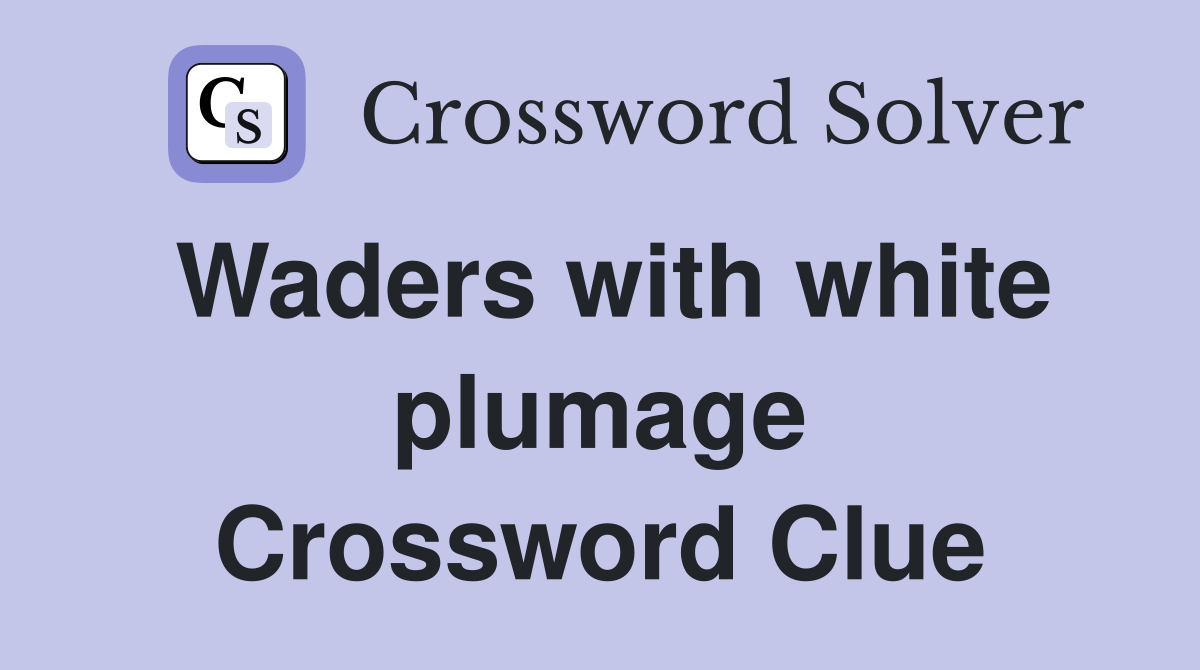 Waders with white plumage Crossword Clue Answers Crossword Solver